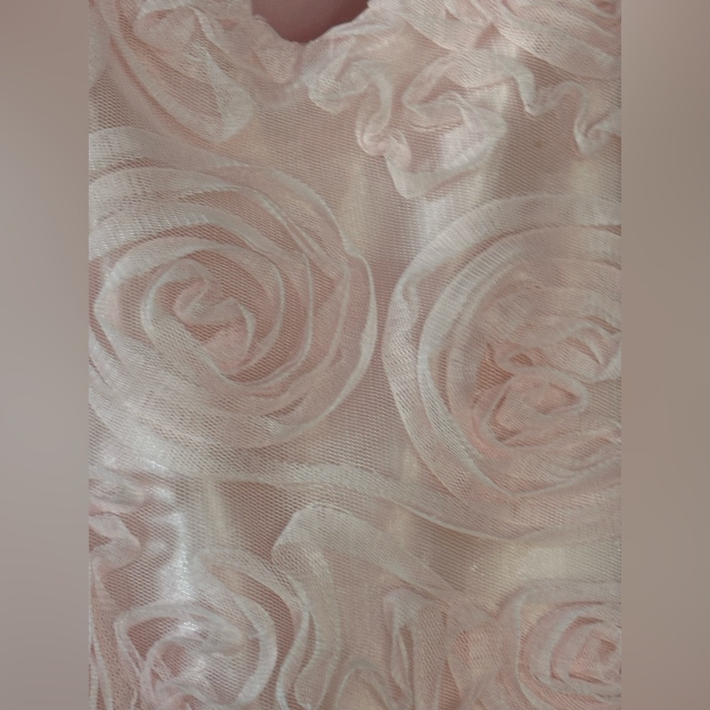 Chasing Fireflies Swirling Pink Roses Dress- Sz 7 - Picture 8 of 10